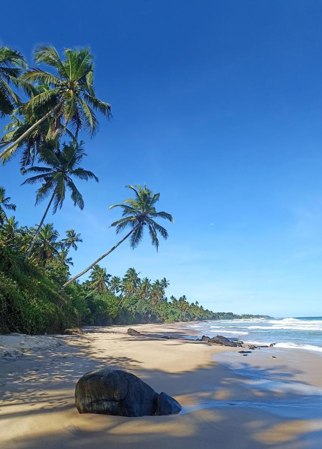 Beach House Kalukatiya - Family Villa, Seaview Room, Garden Room ดิคเวลลา ภายนอก รูปภาพ