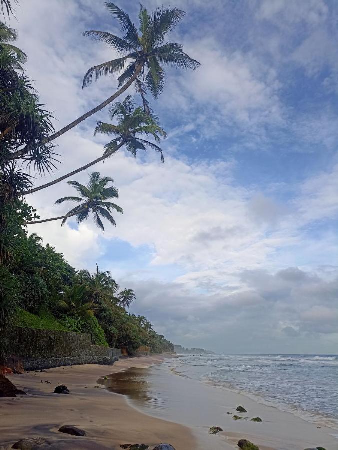 Beach House Kalukatiya - Family Villa, Seaview Room, Garden Room ดิคเวลลา ภายนอก รูปภาพ
