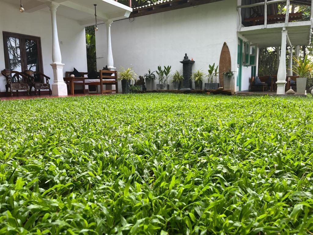 Beach House Kalukatiya - Family Villa, Seaview Room, Garden Room ดิคเวลลา ภายนอก รูปภาพ