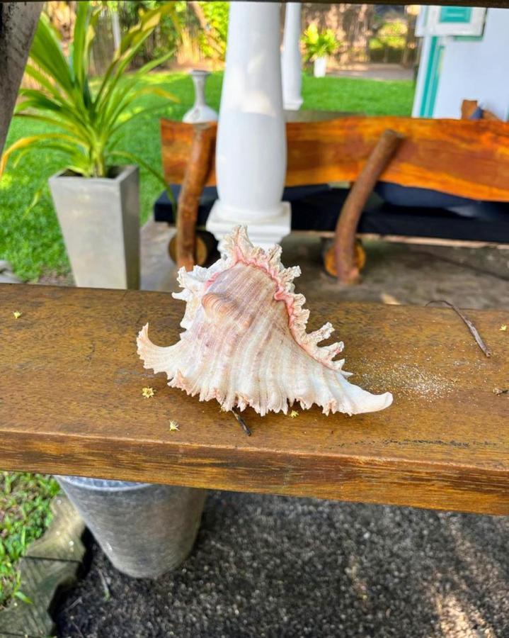 Beach House Kalukatiya - Family Villa, Seaview Room, Garden Room ดิคเวลลา ภายนอก รูปภาพ