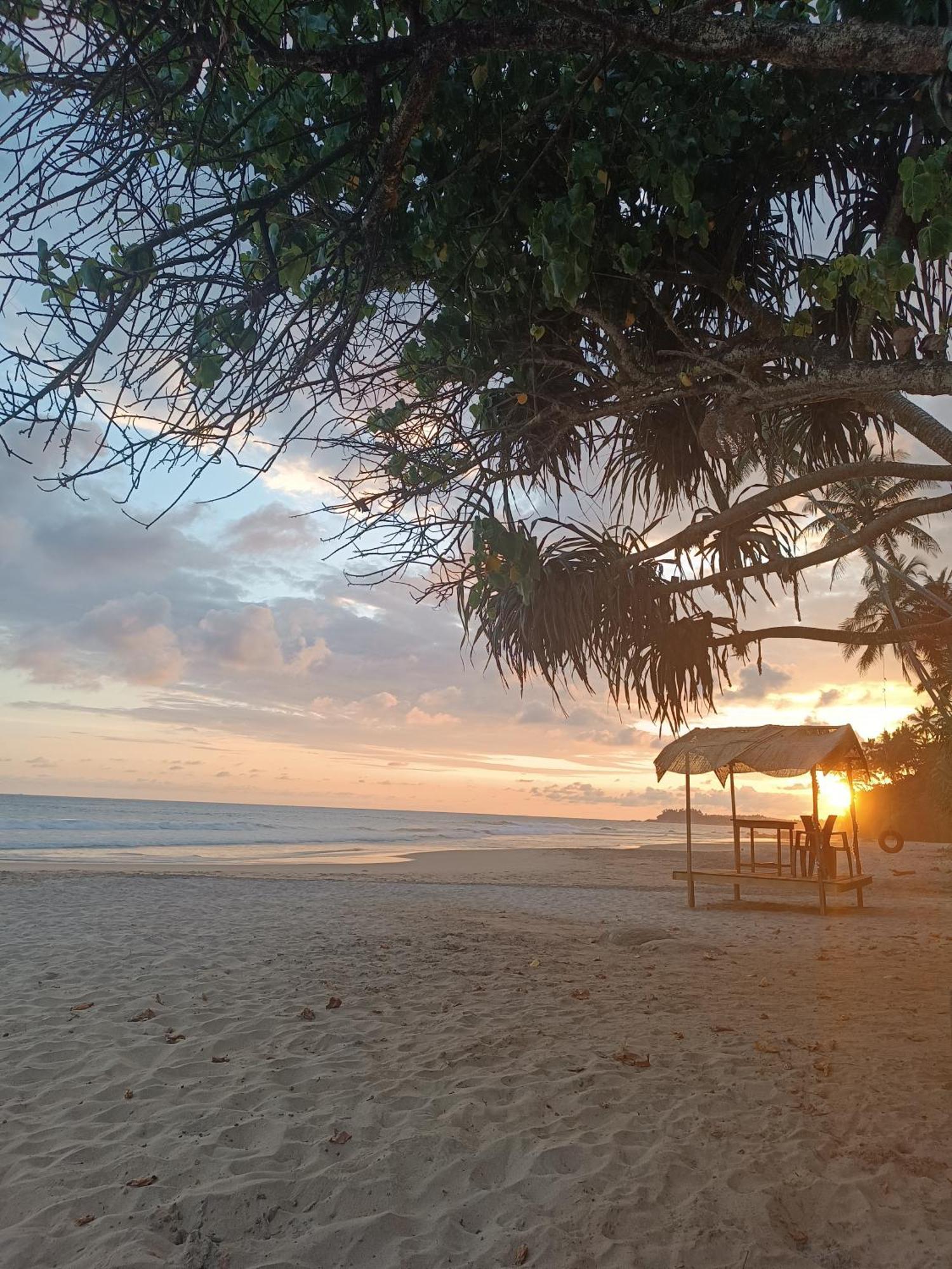 Beach House Kalukatiya - Family Villa, Seaview Room, Garden Room ดิคเวลลา ภายนอก รูปภาพ