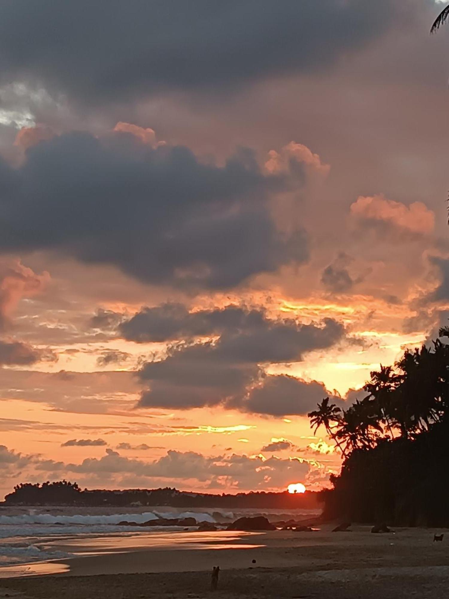 Beach House Kalukatiya - Family Villa, Seaview Room, Garden Room ดิคเวลลา ภายนอก รูปภาพ