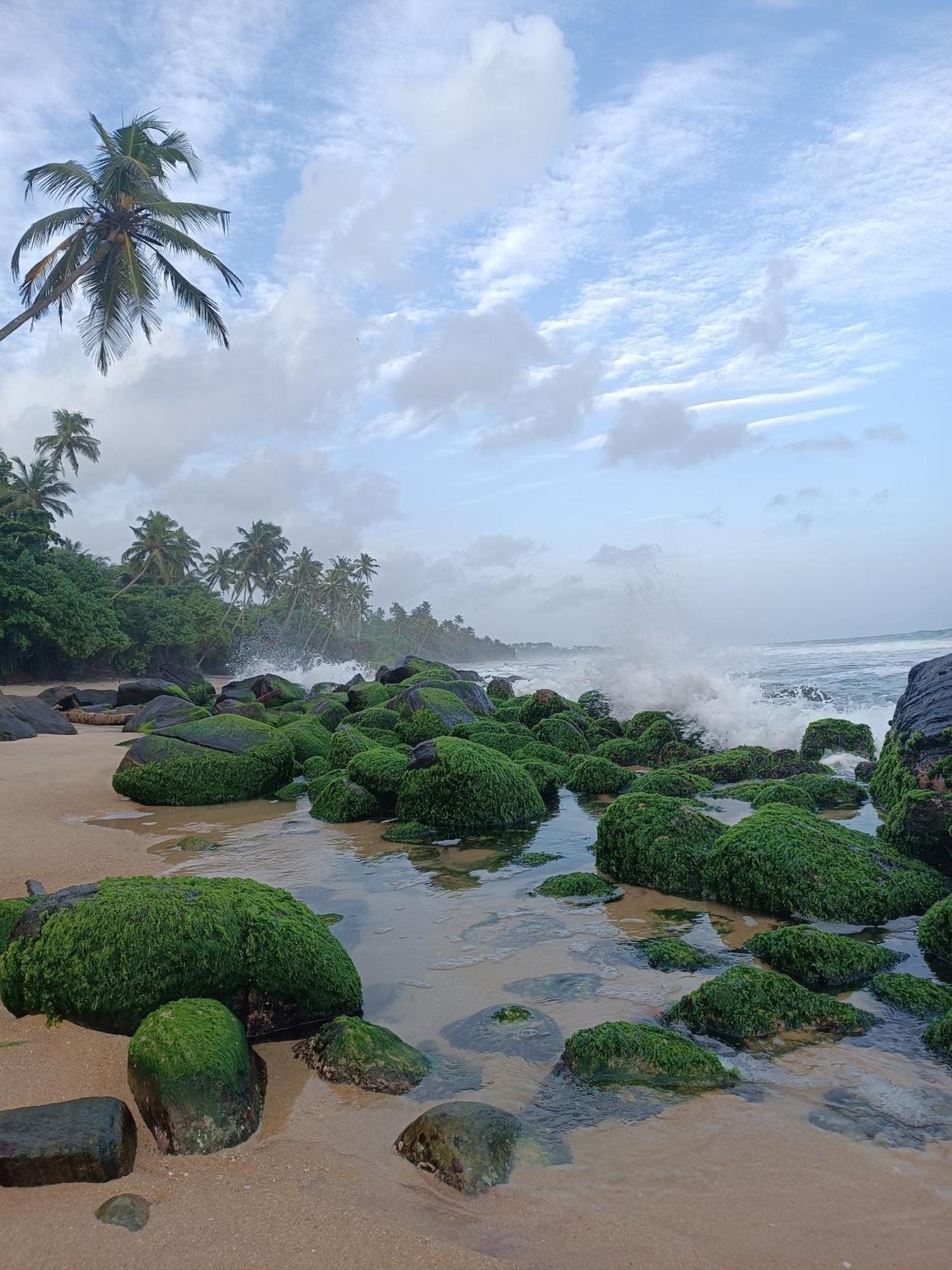Beach House Kalukatiya - Family Villa, Seaview Room, Garden Room ดิคเวลลา ภายนอก รูปภาพ
